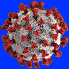 Emergenza Coronavirus: aggiornamenti